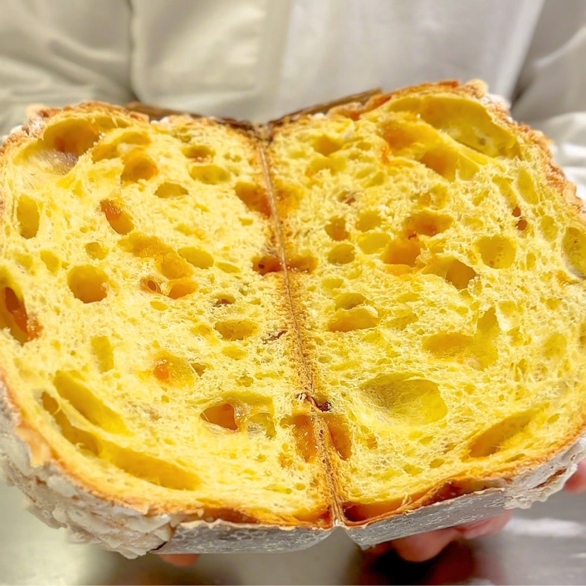 Interno colomba